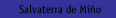 Salvaterra de Mi&ntilde;o