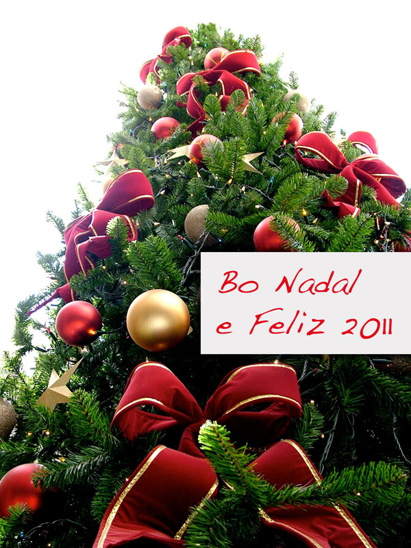 Bo Nadal